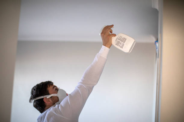 Best Mold Removal Near Me  in Sherwood, OH