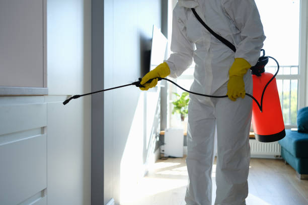 Mold Removal Process in Sherwood, OH