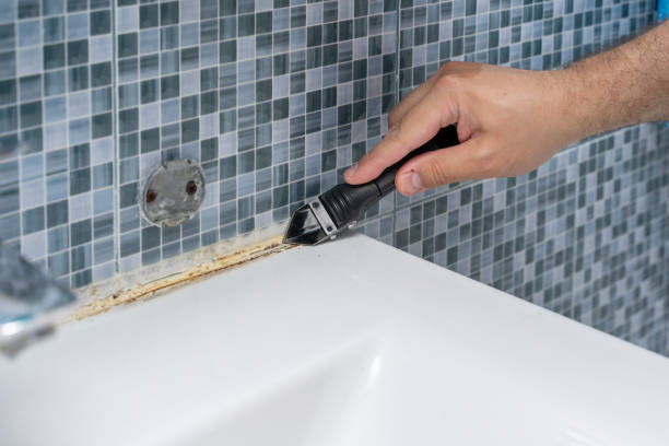 Best Commercial Mold Removal  in Sherwood, OH