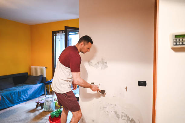 Best Mold Cleaning Services  in Sherwood, OH
