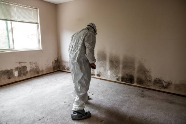 Best Residential Mold Removal  in Sherwood, OH
