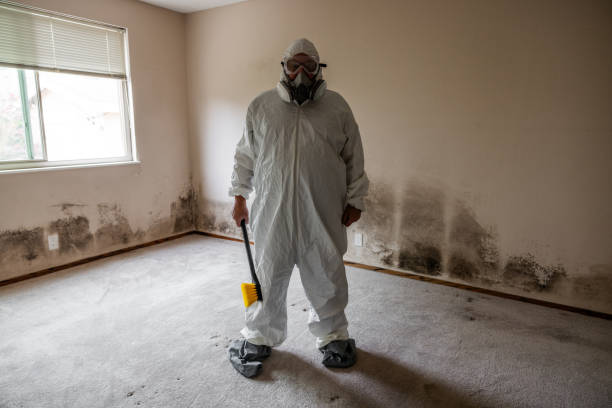 Best Home Mold Removal  in Sherwood, OH